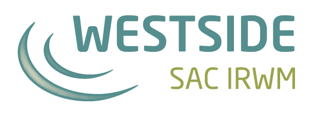 home-nav-logo-color westside Sac IRWM Logo